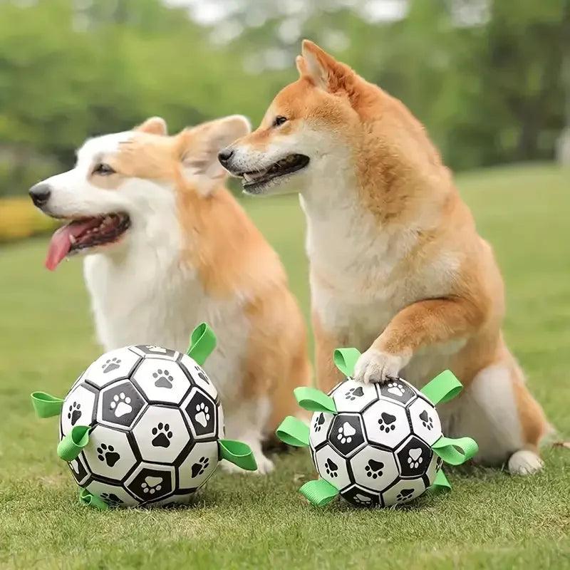 Brinquedo bola para Pet