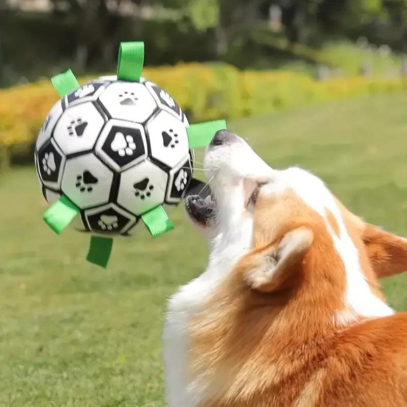 Brinquedo bola para Pet